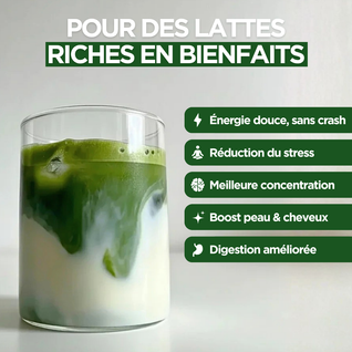 Matcha Cérémonie